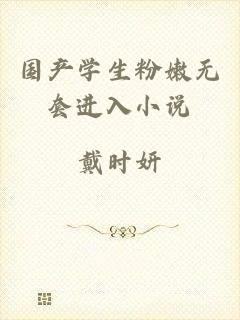 国产学生粉嫩无套进入小说