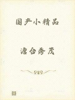 国产小精品