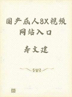 国产成人8X视频网站入口