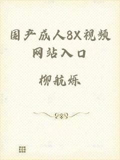 国产成人8X视频网站入口