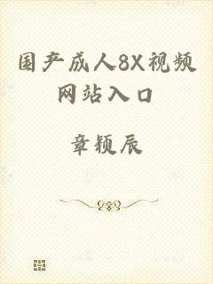 国产成人8X视频网站入口