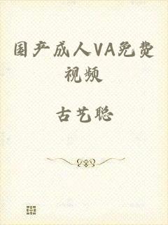 国产成人VA免费视频