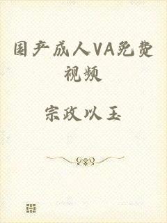国产成人VA免费视频