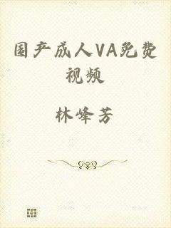 国产成人VA免费视频