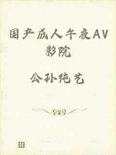 国产成人午夜AV影院