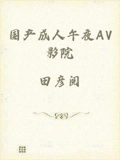 国产成人午夜AV影院