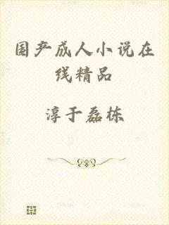 国产成人小说在线精品