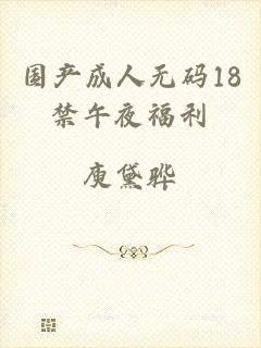 国产成人无码18禁午夜福利