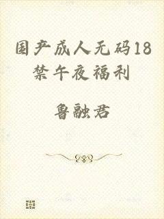 国产成人无码18禁午夜福利