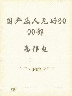 国产成人无码3000部