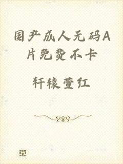 国产成人无码A片免费不卡