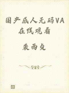 国产成人无码VA在线观看