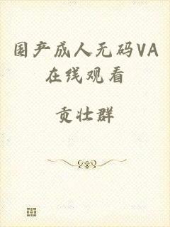 国产成人无码VA在线观看