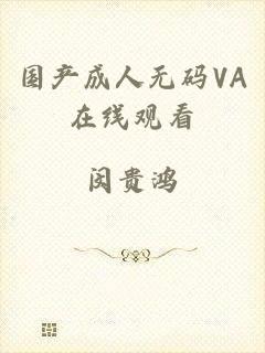 国产成人无码VA在线观看