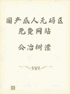 国产成人无码区免费网站