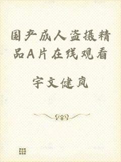 国产成人盗摄精品A片在线观看
