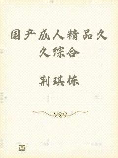 国产成人精品久久综合