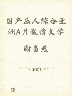 国产成人综合亚洲A片激情文学