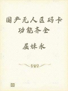 国产无人区码卡功能齐全