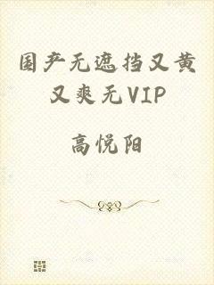 国产无遮挡又黄又爽无VIP