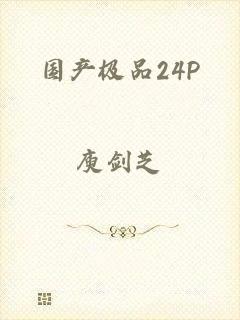国产极品24P