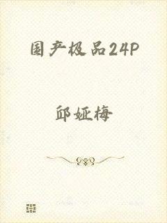 国产极品24P