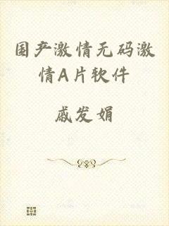 国产激情无码激情A片软件