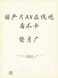 国产片AV在线观看不卡