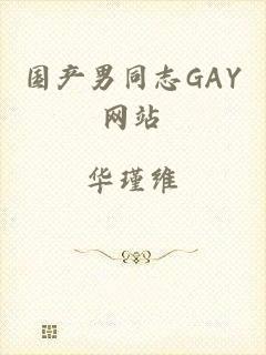 国产男同志GAY网站