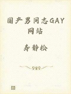 国产男同志GAY网站