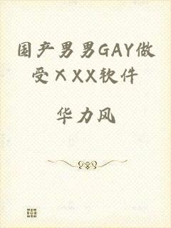 国产男男GAY做受ⅩXX软件