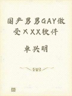 国产男男GAY做受ⅩXX软件