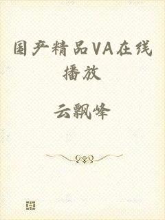 国产精品VA在线播放