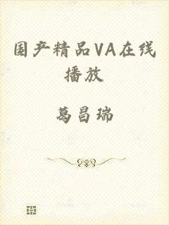 国产精品VA在线播放