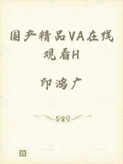 国产精品VA在线观看H