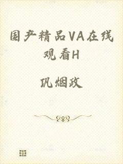 国产精品VA在线观看H