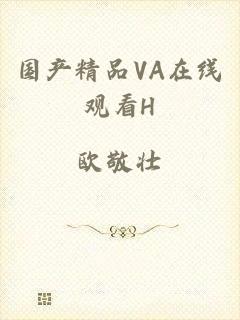 国产精品VA在线观看H
