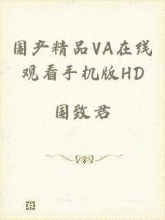 国产精品VA在线观看手机版HD