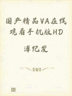 国产精品VA在线观看手机版HD
