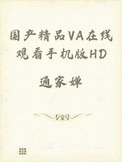国产精品VA在线观看手机版HD