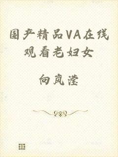 国产精品VA在线观看老妇女