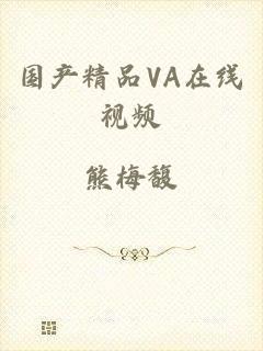 国产精品VA在线视频