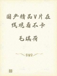 国产精品V片在线观看不卡
