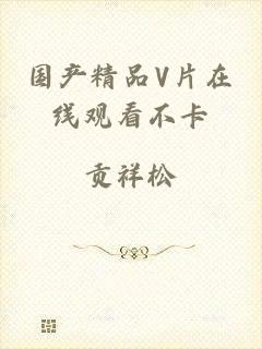 国产精品V片在线观看不卡