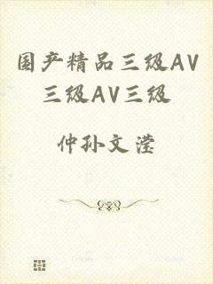 国产精品三级AV三级AV三级