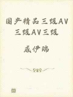 国产精品三级AV三级AV三级
