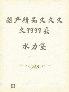 国产精品久久久久9999县
