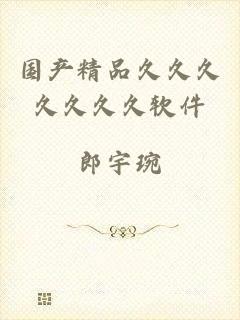 国产精品久久久久久久久软件