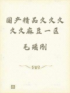 国产精品久久久久久麻豆一区