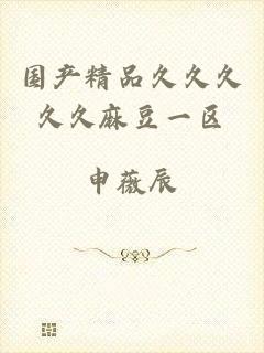 国产精品久久久久久麻豆一区